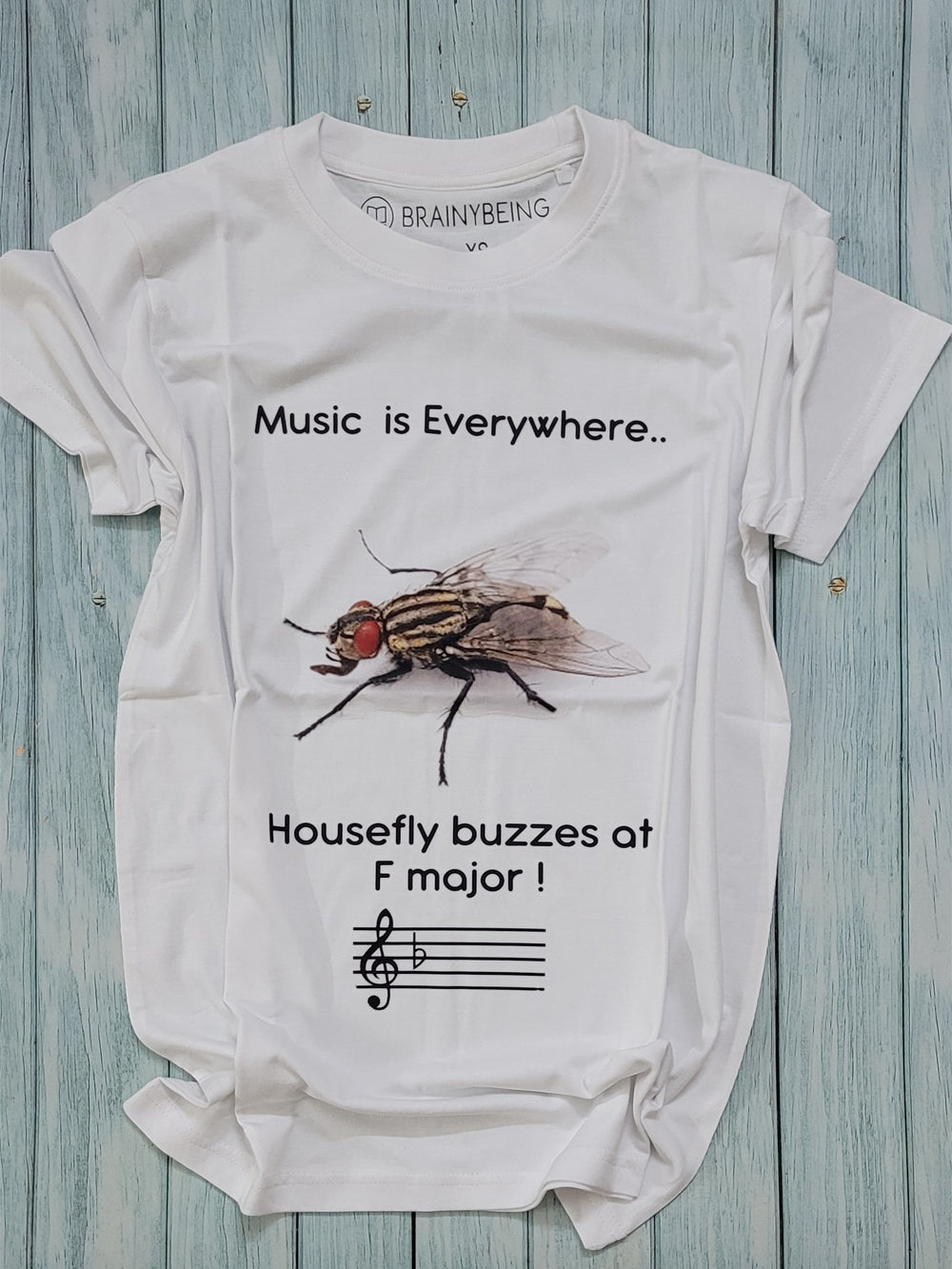 Music is Everywhere - Housefly Buzzes at F Major / Round Neck Half Sleeve Regular Fit TShirt Brainy Being Apparels 12-18 M White